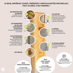 Balançoire avec toboggan en bois traité carré, Objectif Nature 2 agrès - Prune