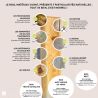 Portique balançoire en bois traité carré, Objectif Nature 3 agrès - Pierre