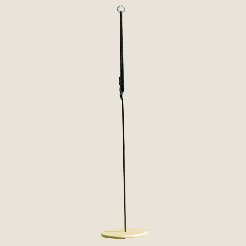 Columpio de disco de madera...