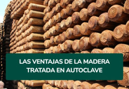 Las ventajas de la madera tratada en autoclave