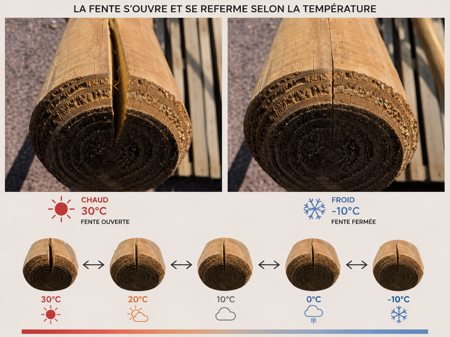 Une fente dans une poutre en bois s'ouvre par temps chaud (30°C) et se referme par temps froid (-10°C)